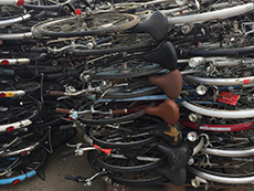 bicycles image 5